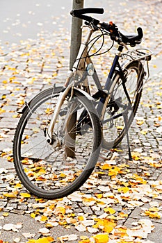 Bicycle parked on street