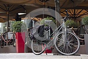 Bicycle parked under the tree by the cafe terrace