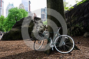 Bicycle parked under a tree in Central Park, New York City