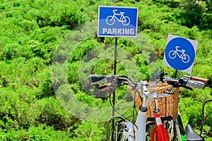 Bicycle parking on a background of fresh green foliage. Signs of bicycle parking. Two bicycles.