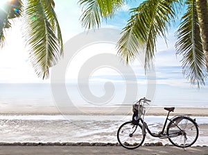 Bicycle parking on the beach with coconut palm trees against blue sky at tropical beach coast. Summer vacation and nature travel