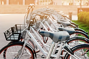 Bicycle Parking. Close-up of the seat of one of the bicycles. Bicycle rental for people on the street