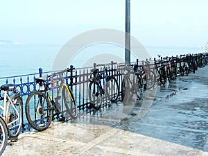 Bicycle parking. Ecoactivism. People refuse gasoline vehicles