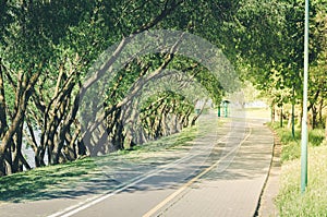 Bicycle path along the park avenue/bicycle path along the park a