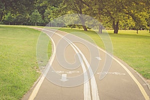 Bicycle path along the park/bicycle path along the park in sunny day