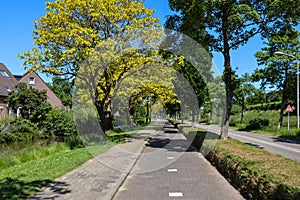 Bicycle path along zuidplaslaan In the Zuidplas district of Nieuwerkerk aan den IJssel