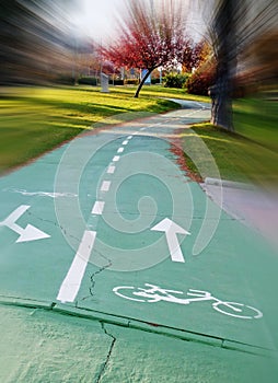 Bicycle path or bikeway in the park