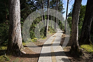 Bicycle path in Colombia