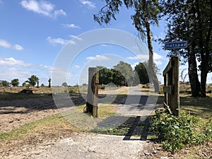 Bicycle path through the Drents-Friese Wold