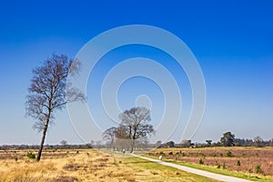 Bicycle path through the national park Drents-Friese Wold photo