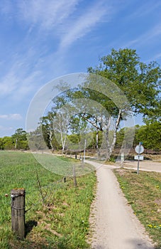 Bicycle path in the Sallandse Heuvelrug national park