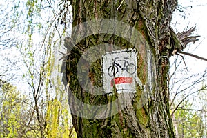 Bicycle path, a sign painted on a tree