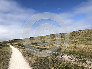 Bicycle path on Vlieland photo