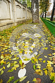 Bicycle And Pedestrian Lane In Autumn