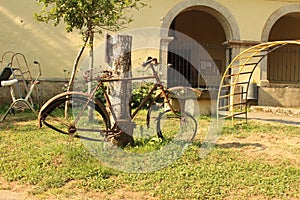 Bicycle photo