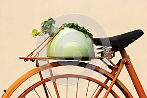 Bicycle with plant decoration