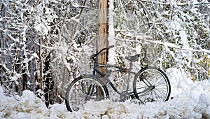 Bicycle propped on telephone pole