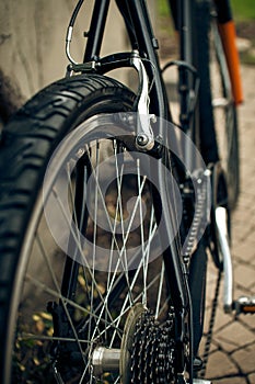 Bicycle rear wheel and brakes