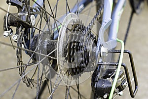 A bicycle rear wheel chain sprocket spokes disc brakes closeup