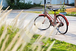 bicycle red classic vintage in beautiful outdoor parkl with copy space for add text photo