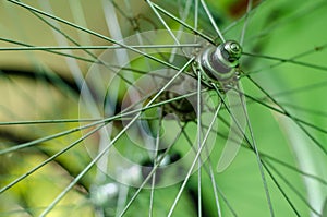 Bicycle repair. On the hook hangs the old front wheel, the bike is preparing for the upgrade. Green background. Professional