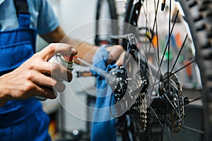 Bicycle repair in workshop, man cleans cassette