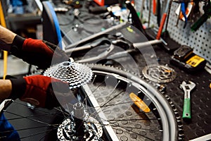 Bicycle repair in workshop, man installs cassette