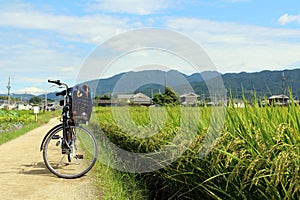 Bicycle, rice grains, and some Japanese houses