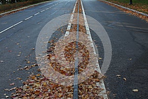 Bicycle road with fallen autumn leaves.