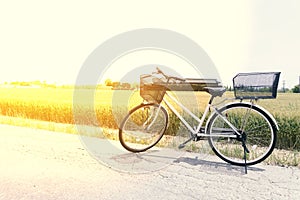 Bicycle on the road in front of the rice field farm in nature, relex conceptm vintage tone photo