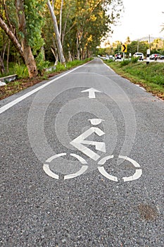 Bicycle road sign and arrow bike lane symbol,bike lane in the garden sightseeing and ride bike in the park.