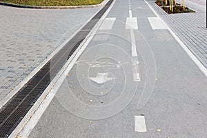 Bicycle road sign on asphalt Bicycle path in the morning in the city in summer with elms Direction of movement of the