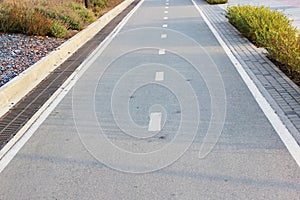 Bicycle road sign on asphalt Bicycle path in the morning in the city in summer with elms Direction of movement of the