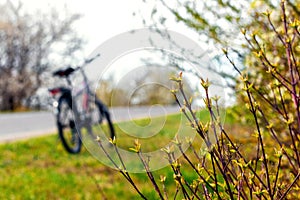 Bicycle by the road in spring. Cycling