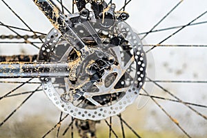 Bicycle Rotor of Rear Hydraulic Brake