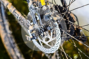 Bicycle Rotor of Rear Hydraulic Brake