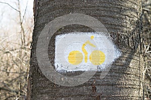 Bicycle route pointer
