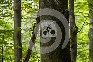 Bicycle route sign on a tree in the forest