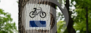 Bicycle route sign on tree in the forest. Blue path cycling road sign in the woods on trunk. The blue trail. Marking the