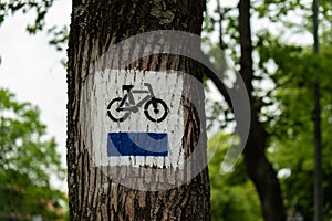 Bicycle route sign on tree in the forest. Blue path cycling road sign in the woods on trunk. The blue trail. Marking the