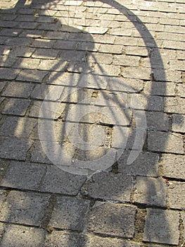 Bicycle Shadow