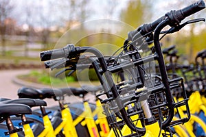 Bicycle sharing in Europe. A healthy walk. quick ride.World Cycling Day June 3 Sports bike.Healthy lifestyle and sport in the city