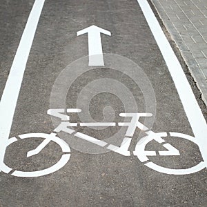 Bicycle sign and white arrow indicating the safe direction of travel for cyclists. Ecological movement in the urban environment.