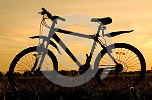 Bicycle silhouette