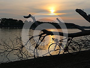Bicycle in silhouette near the lake at  dawn