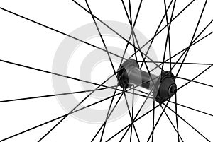 Bicycle spoke detail