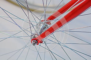 Bicycle spoke detail closeup. Detail view with hub and spokes of