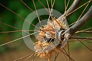 bicycle spoke detail isolated background. Used motion blurr for simulated motion wheel