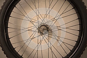 Bicycle spoke wheel