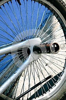 Bicycle Spokes on Bicycle Wheel